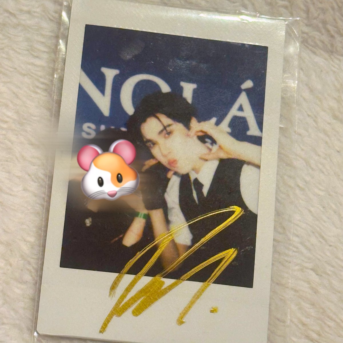 S☺︎rung🐹🐻‍❄️🖤 tweet media