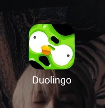 Ma Duolingo che ha passato? Tutto a posto?