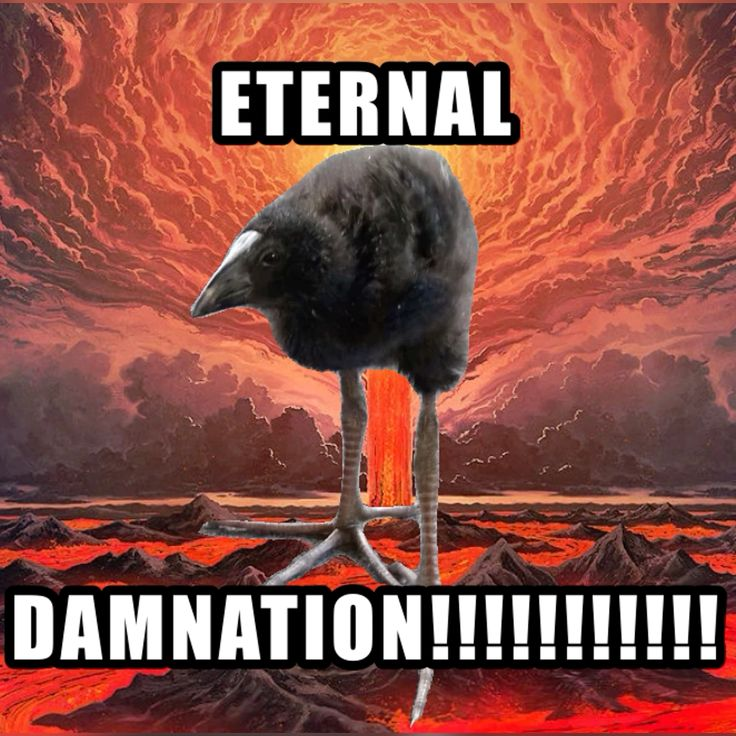 ⁫　⁫　⁫*⁫　⁫ 𝘁𝗵𝗲⁫　⁫　𝕻𝗛𝗔𝗡𝗧𝗢𝗠⁫ᅟᅟᅟ .͟. tweet media