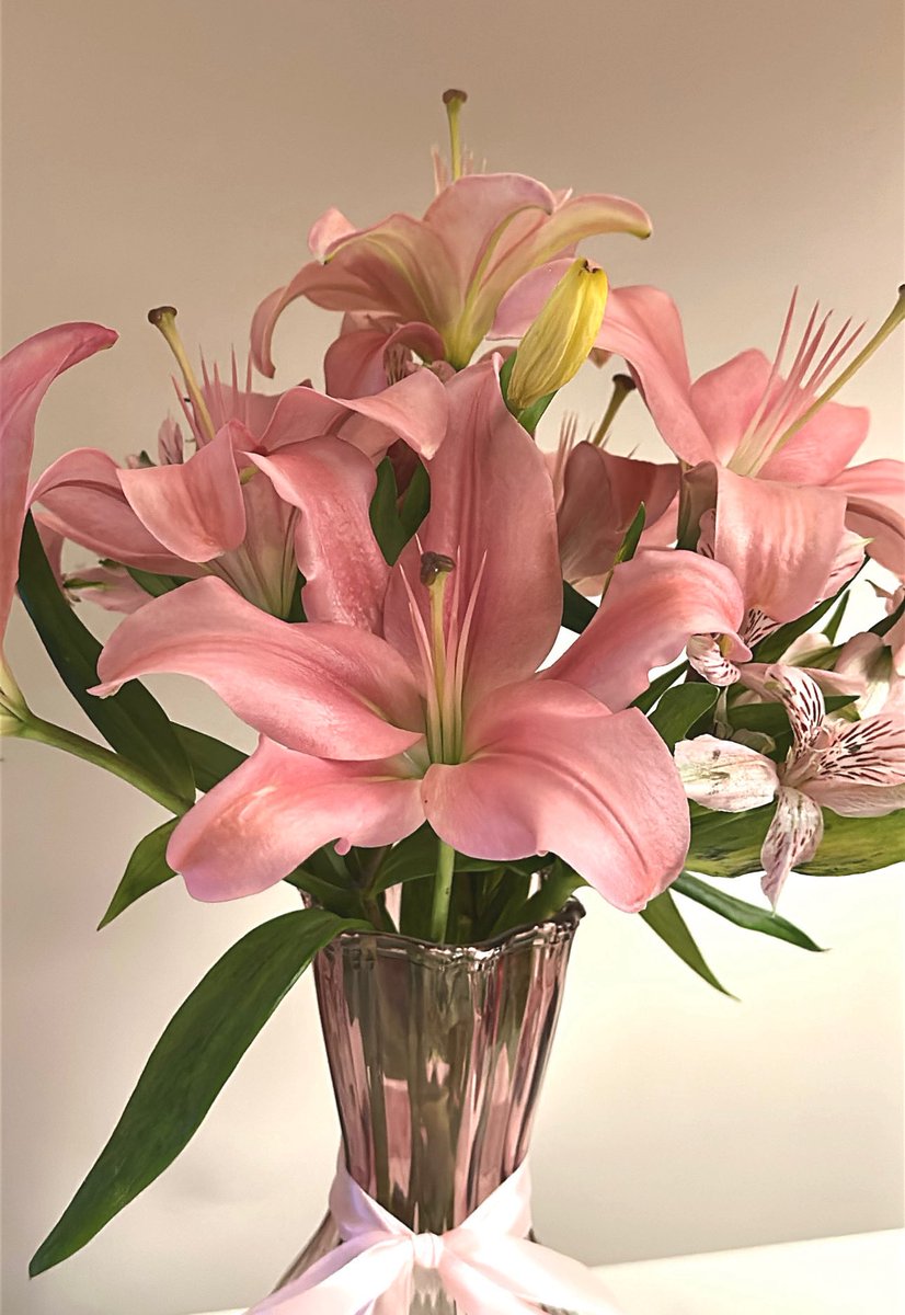 ‎ ‎ ‎ ‎ ‎‎ℋ‎ ‎ ‎ ‎ tweet media