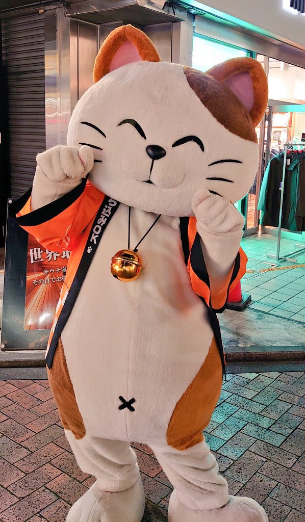 2/22のライブにこの着ぐるみで行きたいけど調べてもどこもレンタル出してないし今からまねきねこでバイトするしかないのかな……（まず入場できない）