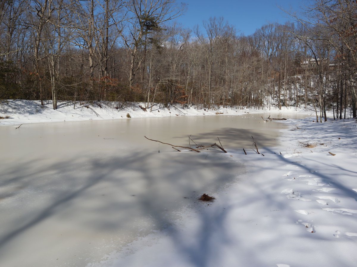 Friends of Wolf Trap National Park tweet media