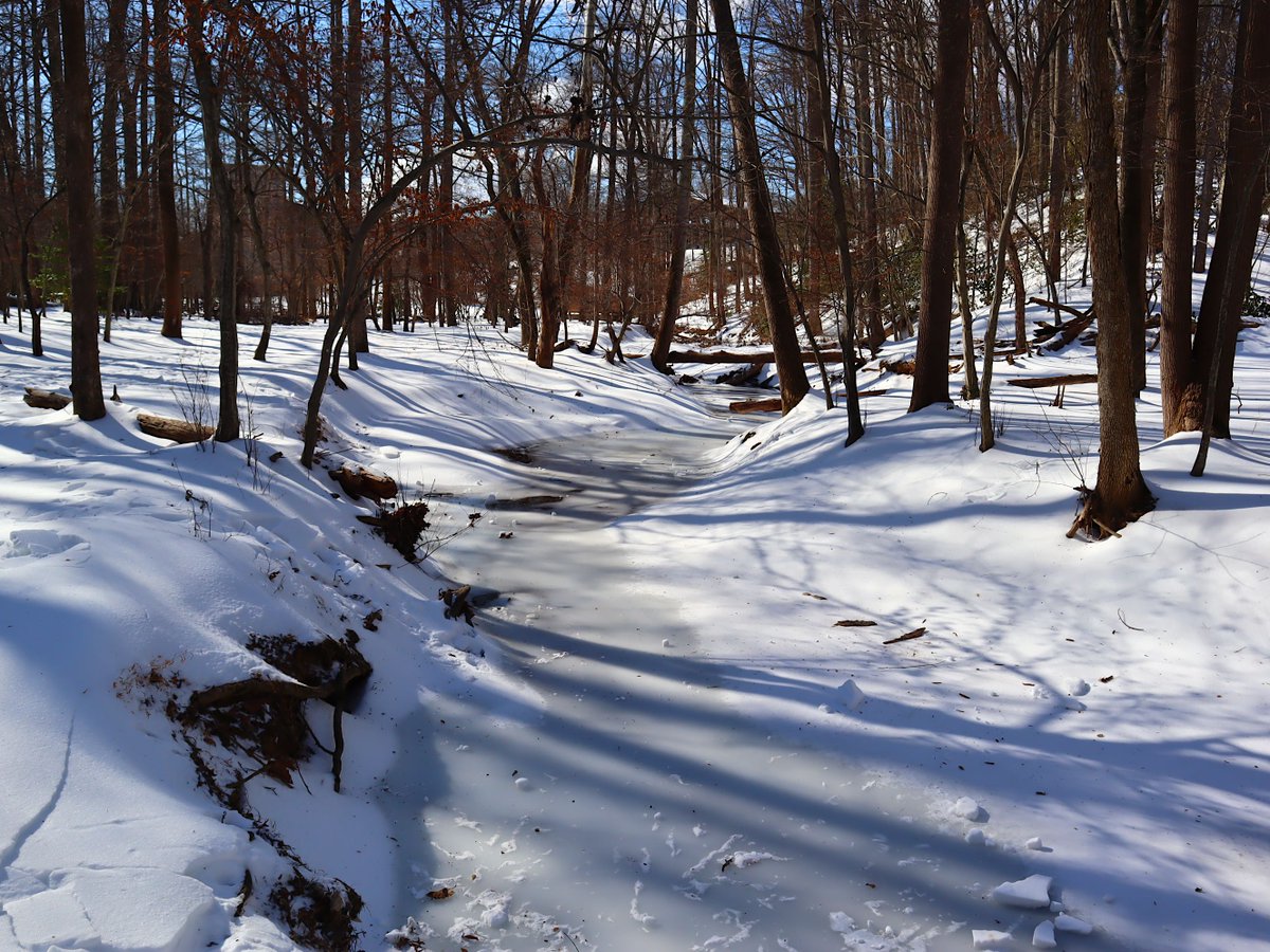 Friends of Wolf Trap National Park tweet media