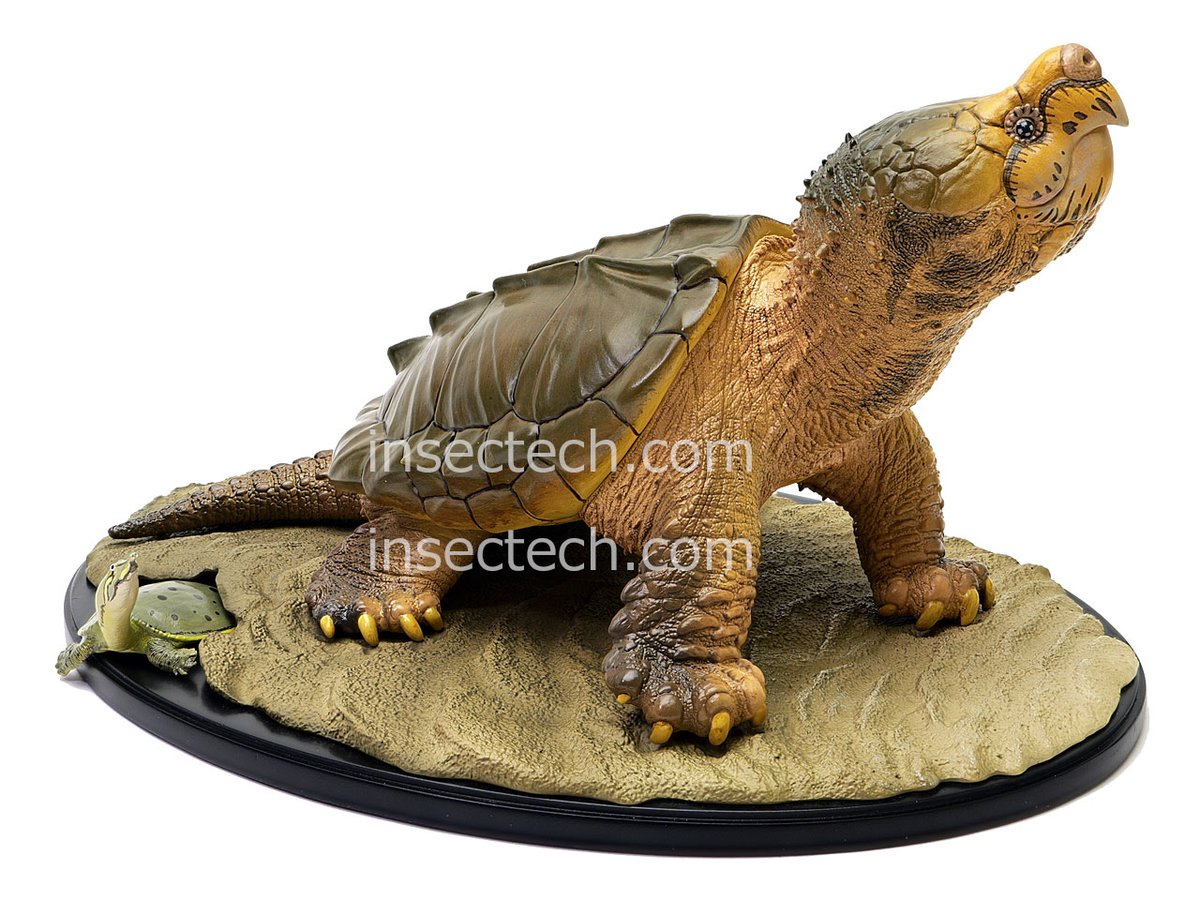 新発売】 動物の惑星 フィギュア 写実シリーズ ワニガメ立像（売切れ