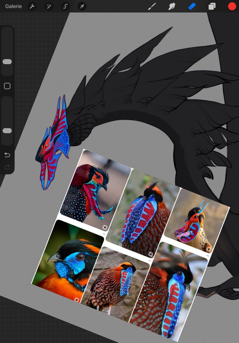 Shegoran tweet media