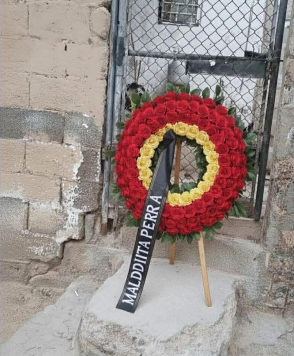 Bien enamorado 🥰🥰🥰