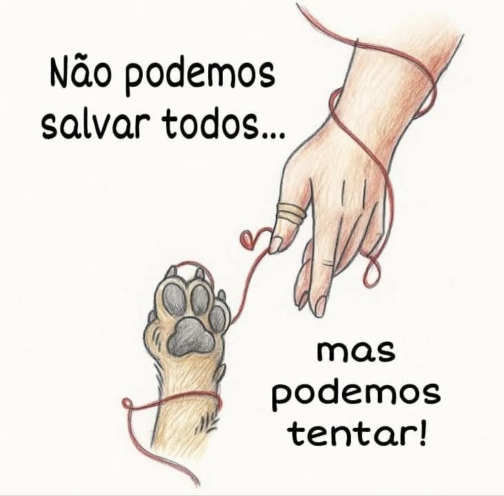 Fevieira_s's tweet image. Curta bastante os bloquinhos de rua, mas seja gentil com os animalzinhos que vivem ali.  Se ver alguma maldade, denuncie. 

#BRAZILFORORELHA