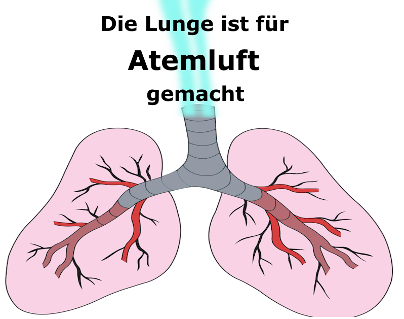 Pro Rauchfrei e.V. tweet media