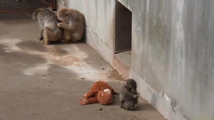 I know... I know... 💔