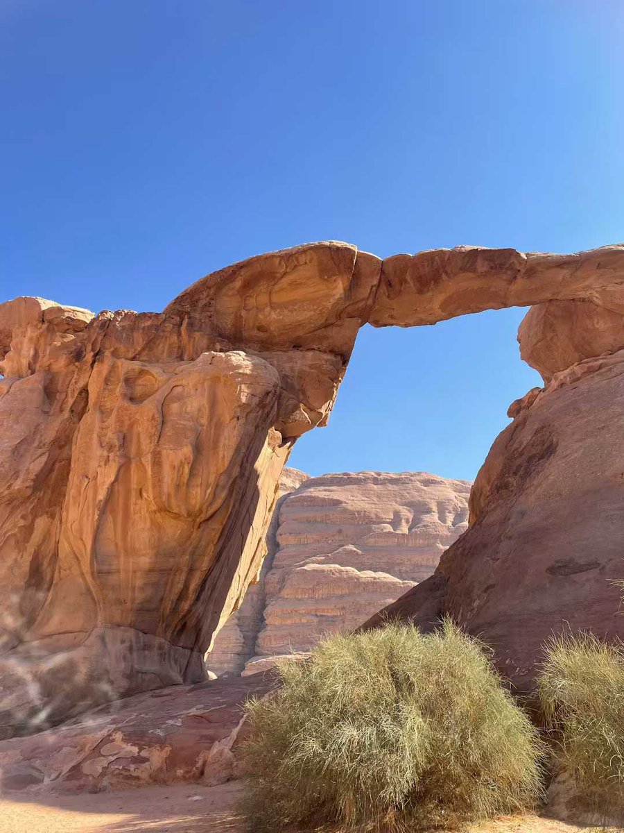 Oxye漆华 tweet media