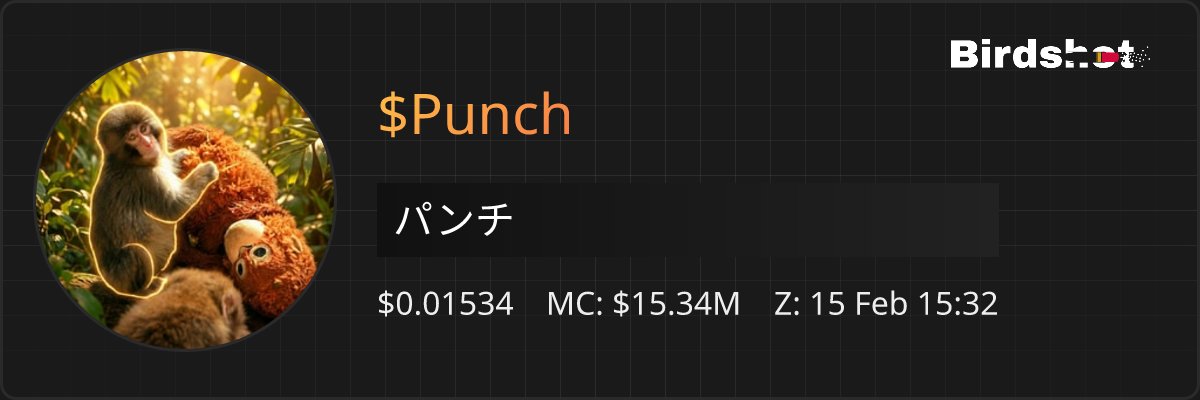 Birdshot Listings tweet media