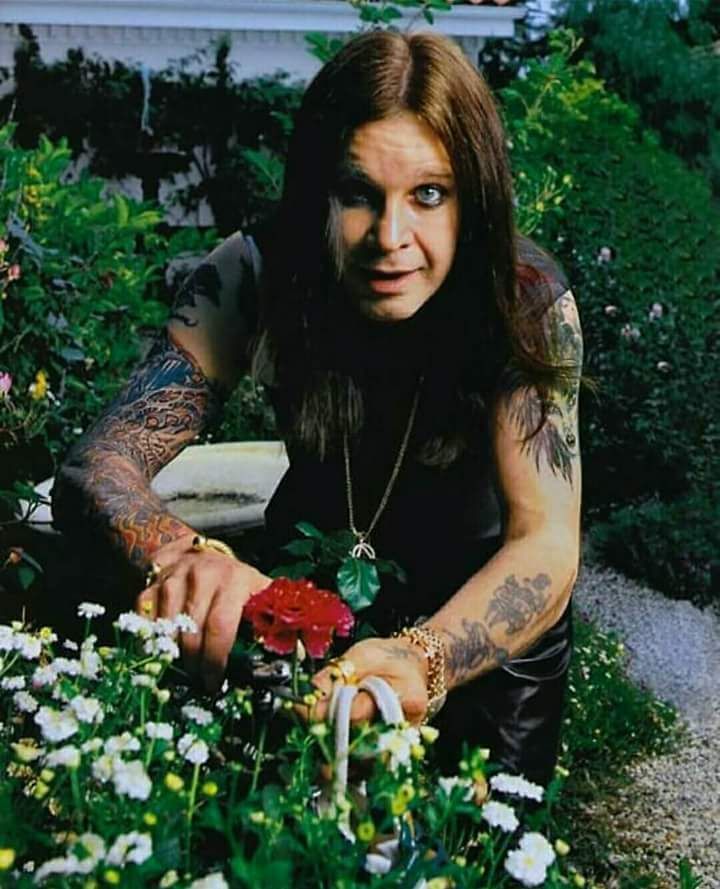 Ozzy Osbourne tending his roses in Buckinghamshire, 1988. Captured by Mirrorpix for the Sunday People. A relaxing moment for the  "Prince of Darkness".