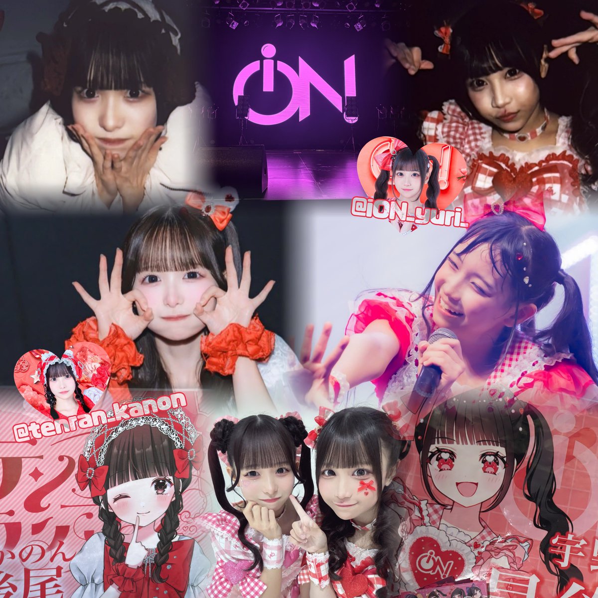 あんずちゃん tweet media