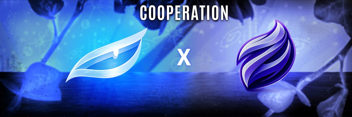 Evolution Esports tweet media