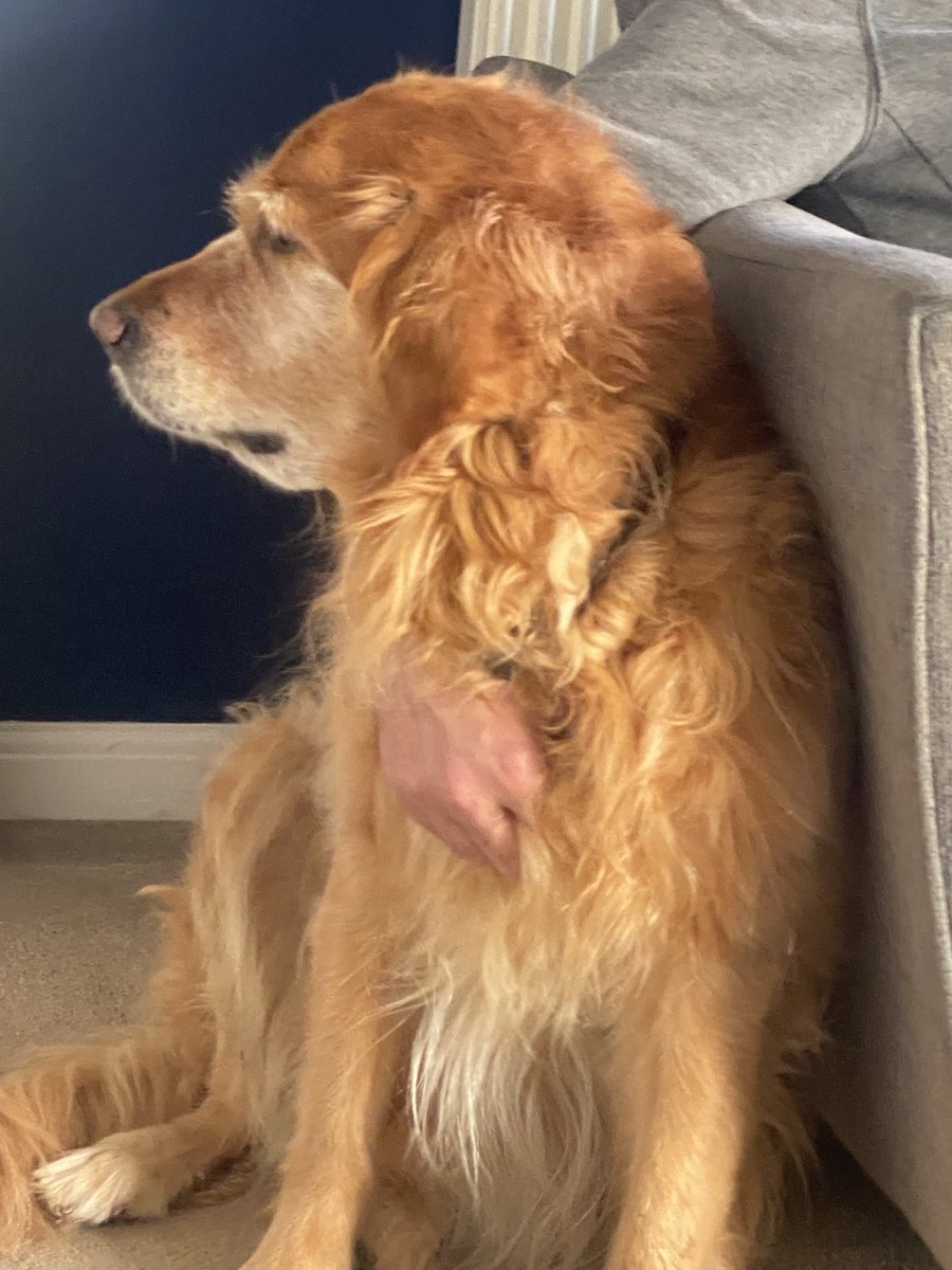 Sue Mayor tweet media