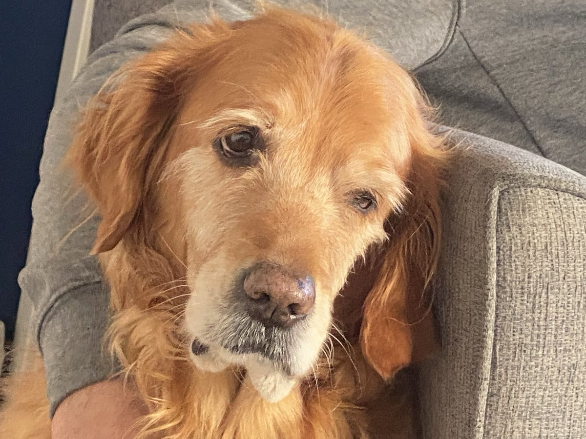 Sue Mayor tweet media