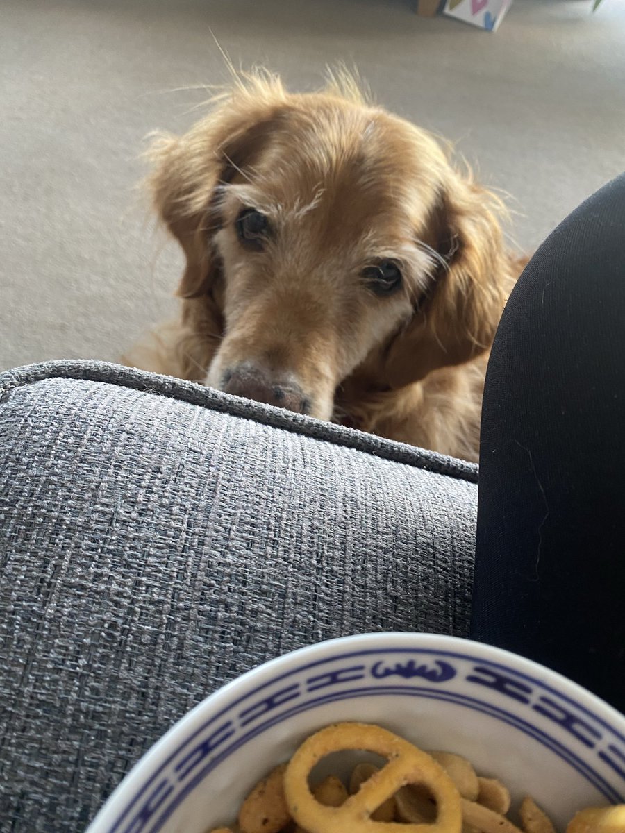 Sue Mayor tweet media