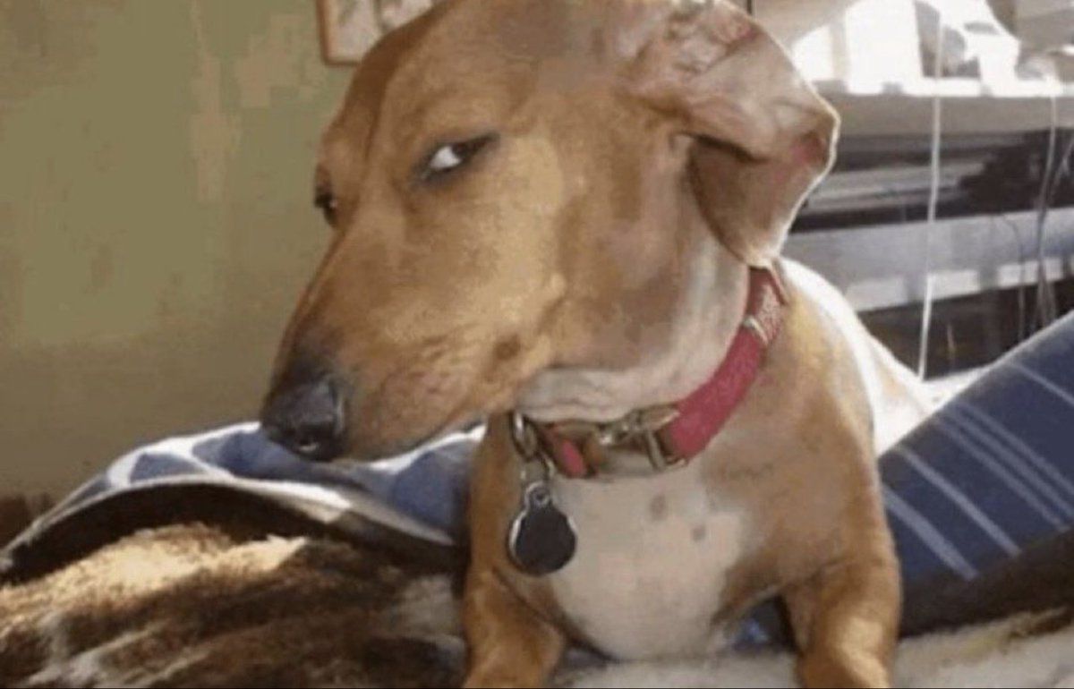 Tigerclaw tweet media