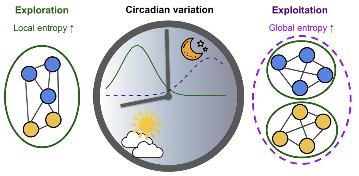 Braintime Lab tweet media