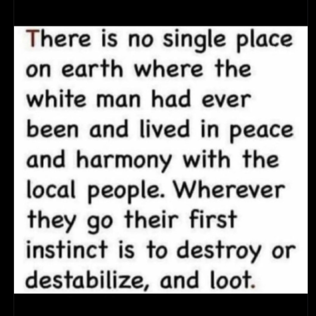 Lola Rodrigues tweet media