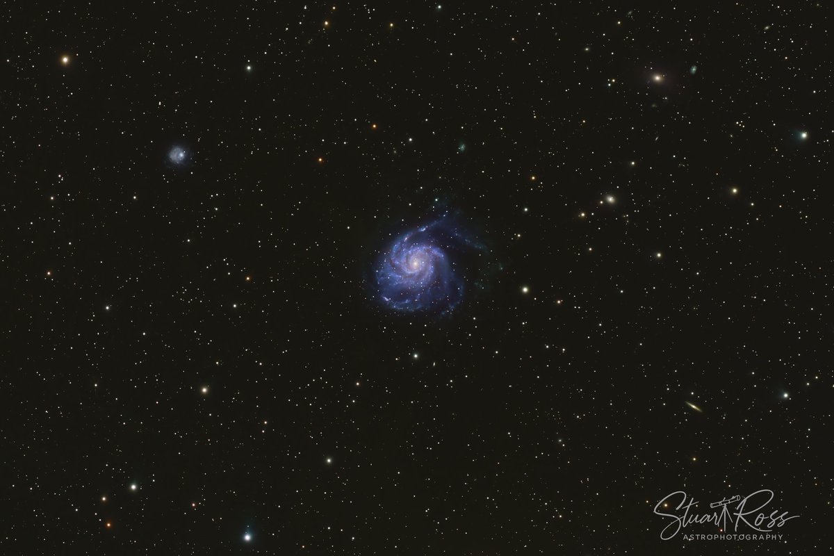 Stuart Ross tweet media