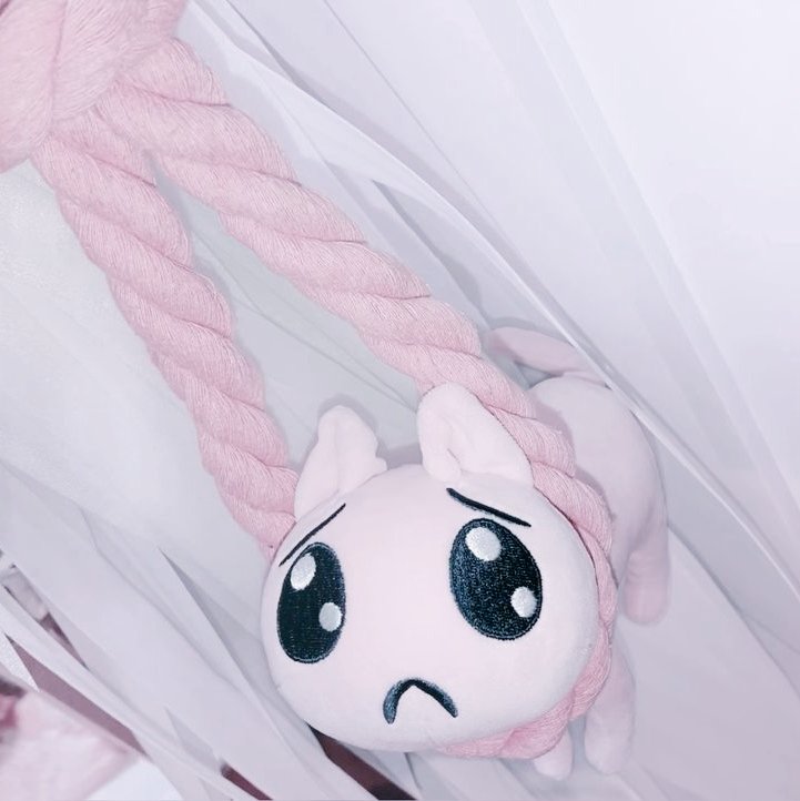 Slaughterbon's tweet image. /)    /)
    (｡•ㅅ•｡) ✦₊ ˊ˗  #intro #moothunt
. . ∪─∪✦ ⁺.
. .┊ ◟ Name : Mocha
. .┊﹒𐐪 Age : 16
. .┊ꜝꜝ﹒Pronouns : she/her
. .┊very chronically online 
. .┊ ◟ヾ #shedtwt #shtwt #venttwt #suicidetwt #obslovetwt
. .┊ ◟ifb ✦ ⁺