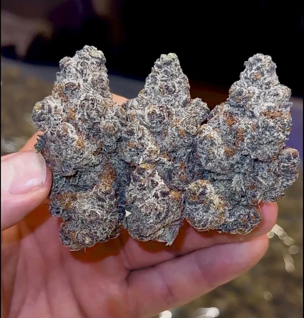 MembersOnlyDD's tweet photo. Exotics or Mids? https://t.co/lwOXG5RFSl