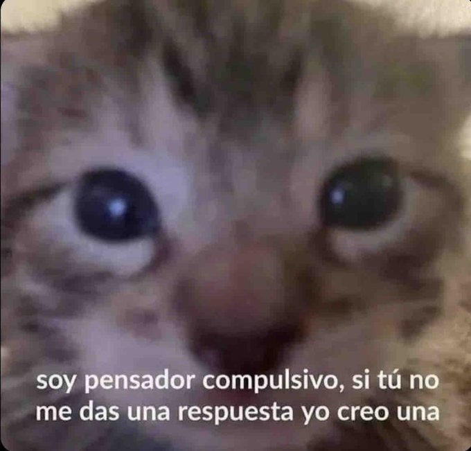 flanchota's tweet image. 