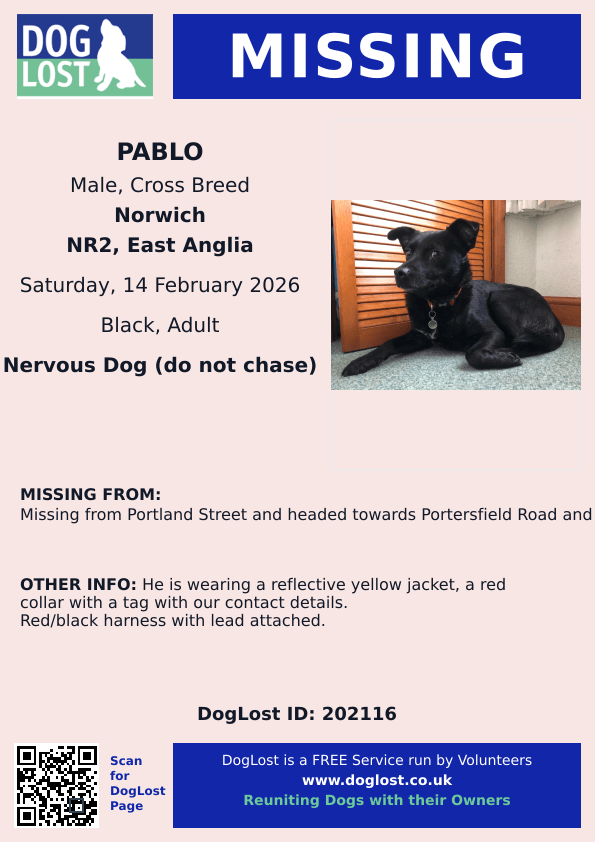 millypod1's tweet image. 🆘14 FEB 2026 #Lost Pablo #ScanMe
Cross Breed Male  Nervous Dog (do not chase)
Portland Street and headed towards Portersfield Road and then Jessopp Road area #Norwich #Norfolk #NR2
doglost.co.uk/dog/202116