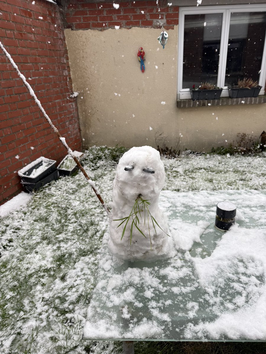 La neige est bien tombé sur la fin de l épisode ici , elle a tenu partout et on a atteints 3 cm quand même au sol ☃️⛄️❄️#dunkerque <a href="/lachainemeteo/">La Chaîne Météo</a>