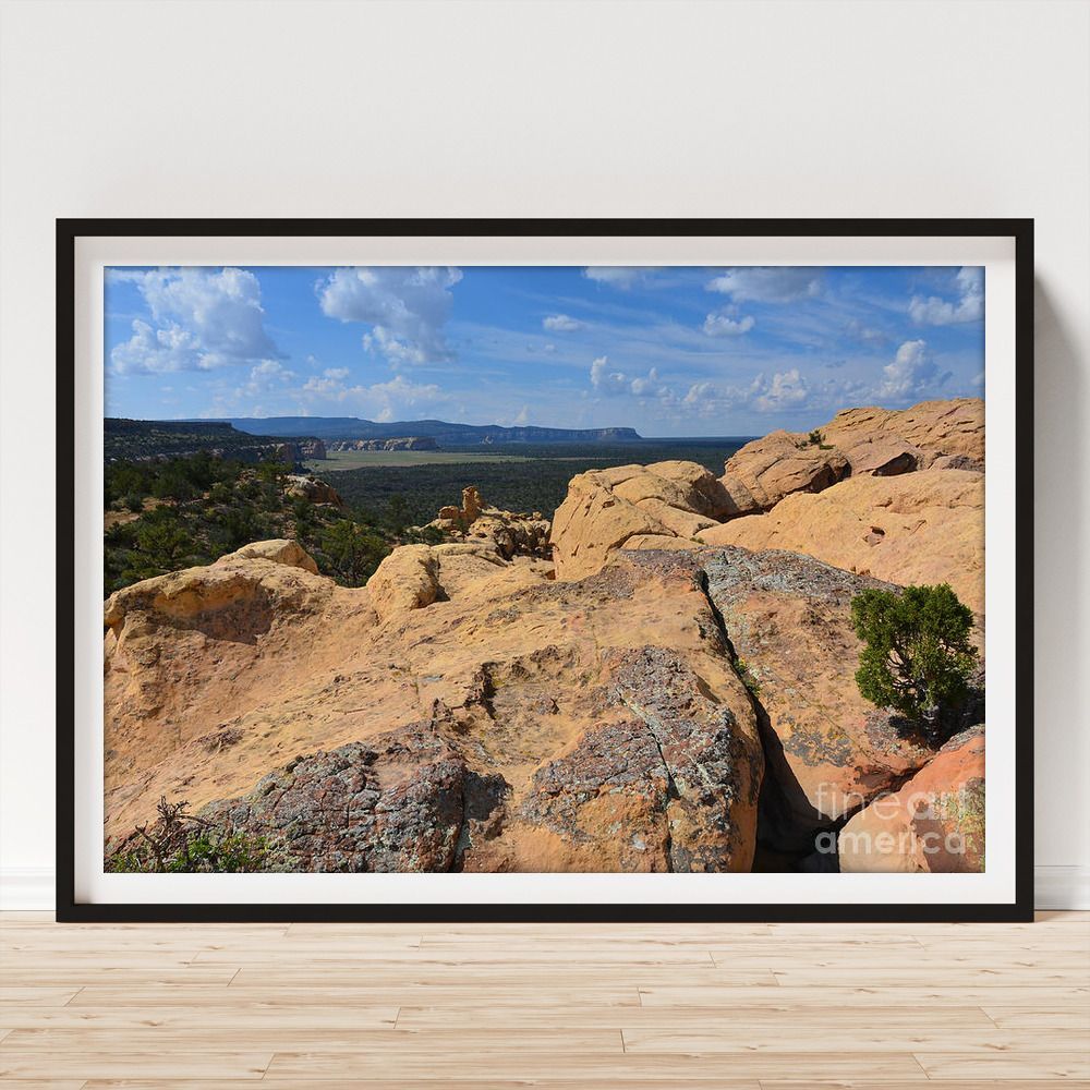DebraMartz's tweet photo. "El Malpais Bluffs" 
Framed Print by Debra Martz
A National Monument in New Mexico 
https://t.co/M6n673DuGA

#ElMalpais #Bluffs #NewMexico #NationalMonument #landscape #photography #PhotographyIsArt #BuyIntoArt #AYearForArt #WallArt #HomeDecor https://t.co/x9i0LMIdtT