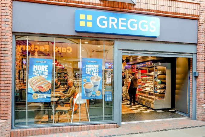 KittoCatto🐾🧭 tweet media