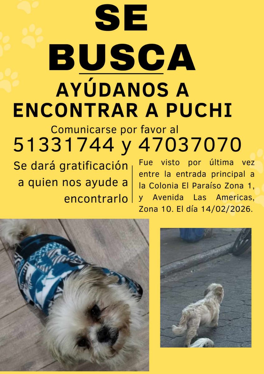 🔴 #ServicioSocial | Piden ayuda para que «Puchi» regrese a su casa.