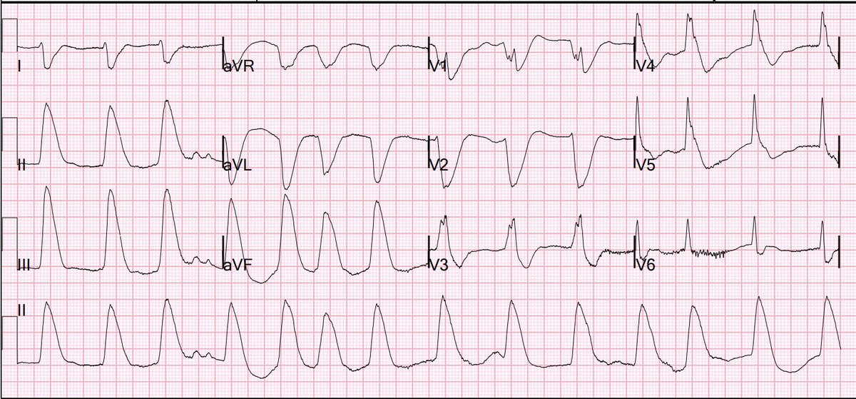 Stephen W. Smith tweet media