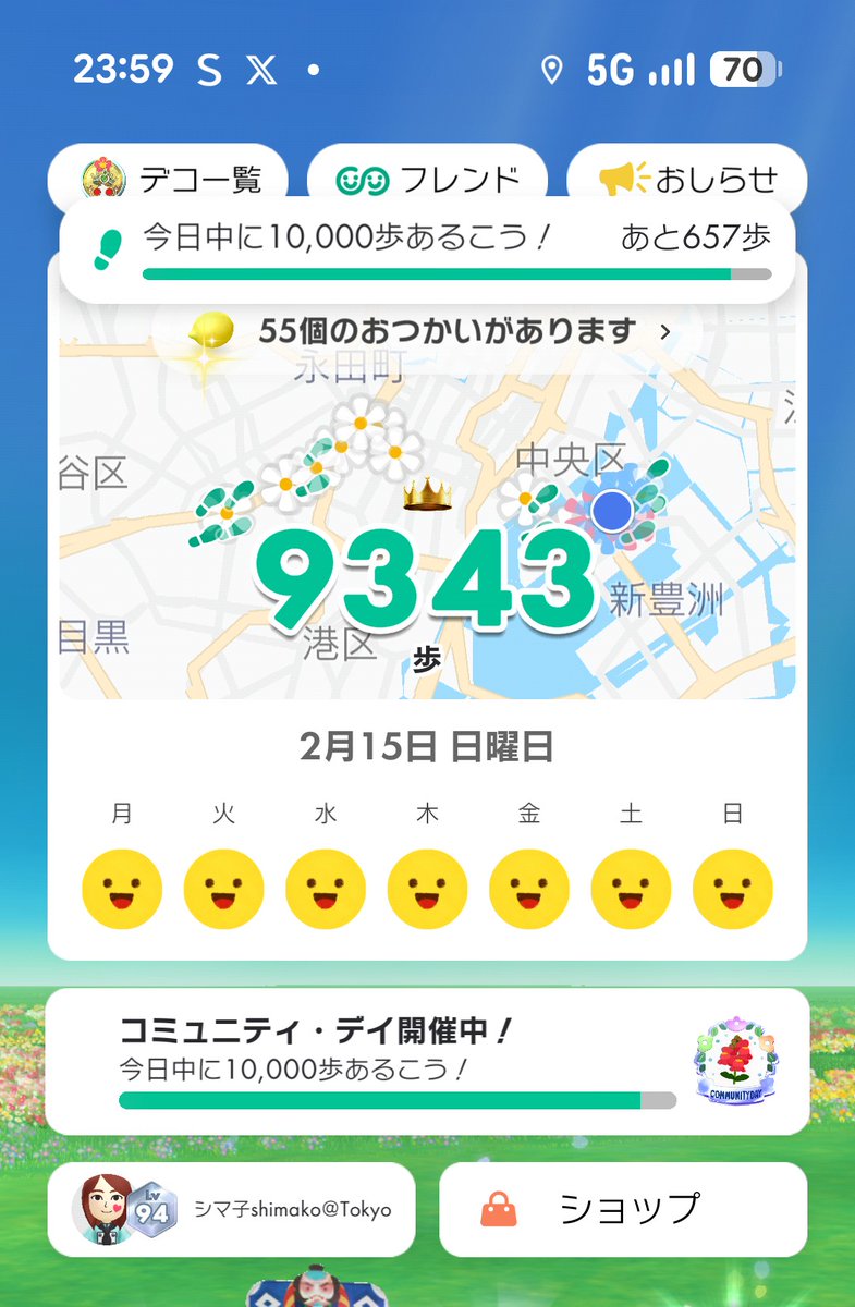 shimako_d's tweet photo. 最近、すごく疲れてて今日のコミュデイどうしよ〜😥とか思ってたんたけど、夜10時半くらいに今月のお題も困るから白と青の金魚草だけ取りに行こうと頑張った！
でも歩数があとちょっとのところで足りなかった😢
#ピクミンブルーム https://t.co/xjdSvHF6iz