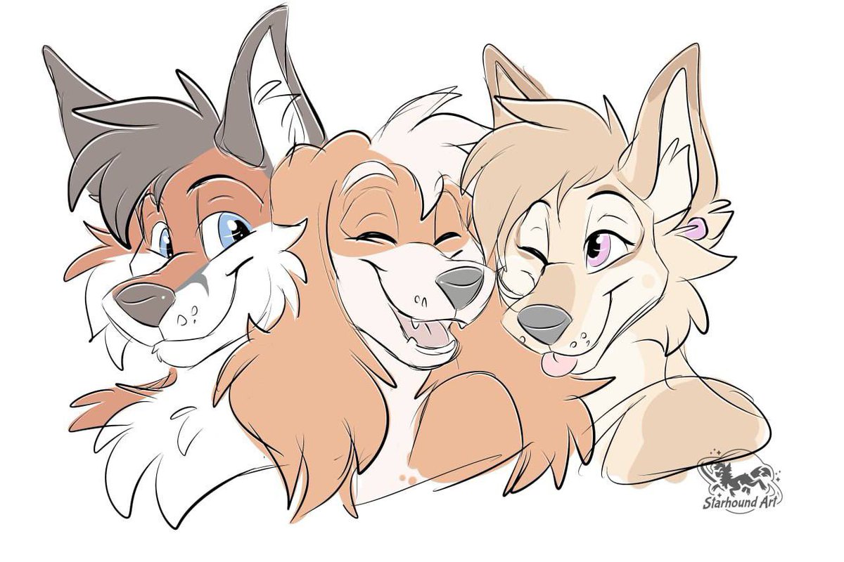 Vega ʕ •ᴥ•ʔ !! tweet media