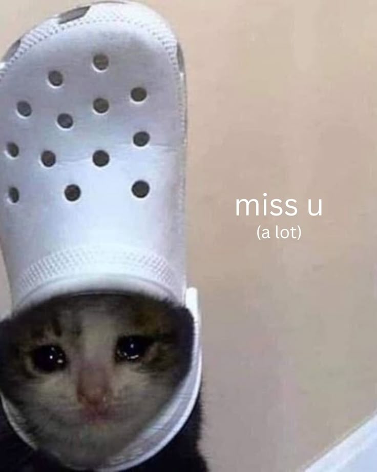 ChatSympho10336's tweet photo. Heeeey wake up 
I'M STILL ALIVE 🥹✨✨✨✨✨✨✨✨✨✨✨✨✨✨✨✨✨✨✨✨✨✨✨✨✨✨✨✨✨😭😭😭😭😭😭😭OWWWWWW https://t.co/MTDayNLWIN