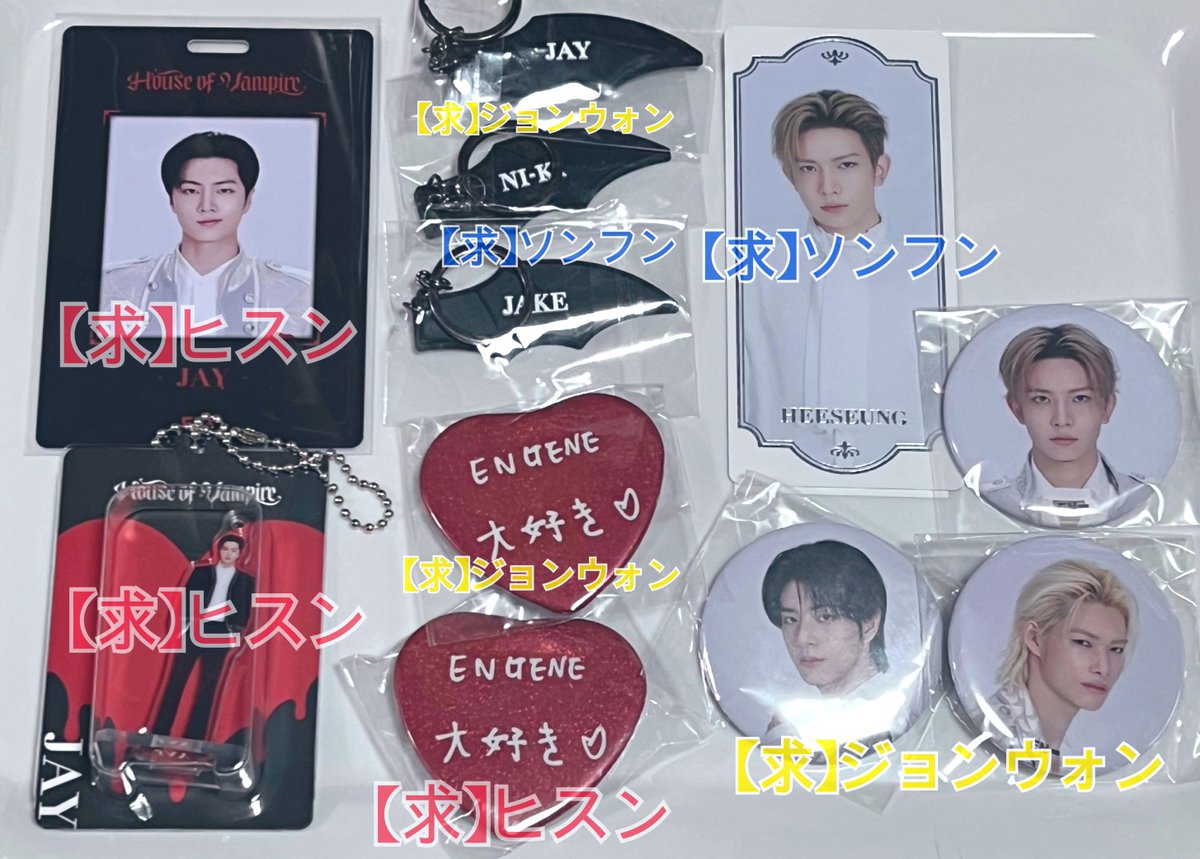 ENHYPEN House of Vampire AR PHOTO 缶バッジ ガチャ 交換 【譲】画像