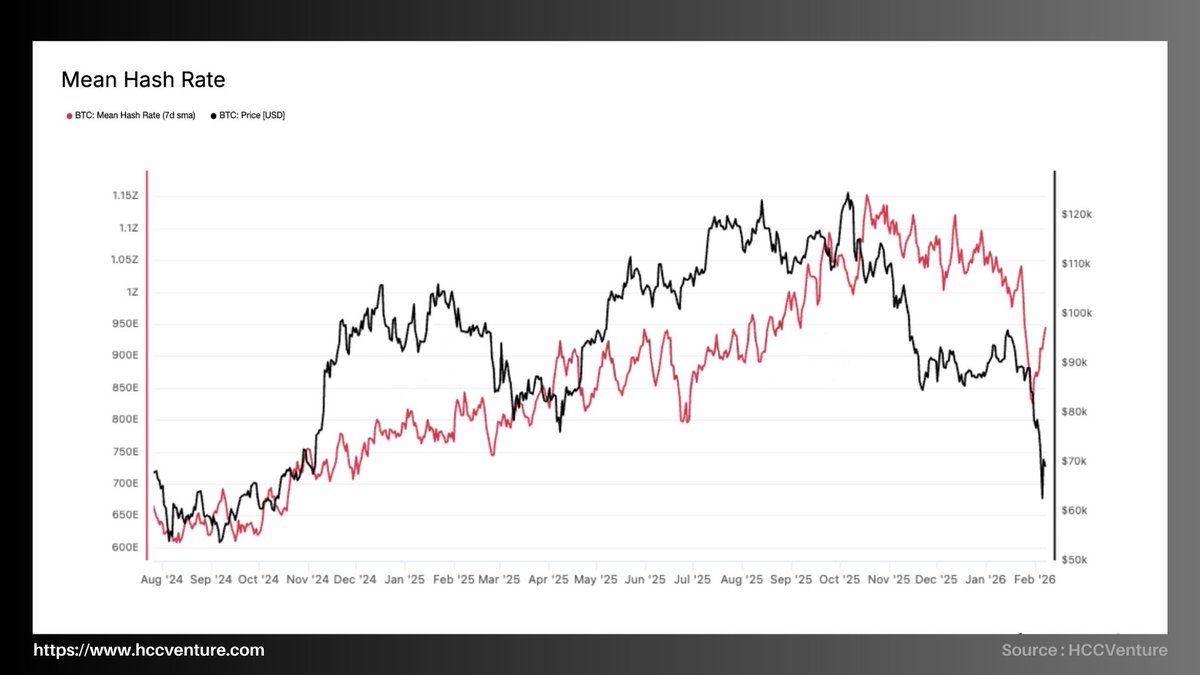 Hold Coin CVenture tweet media