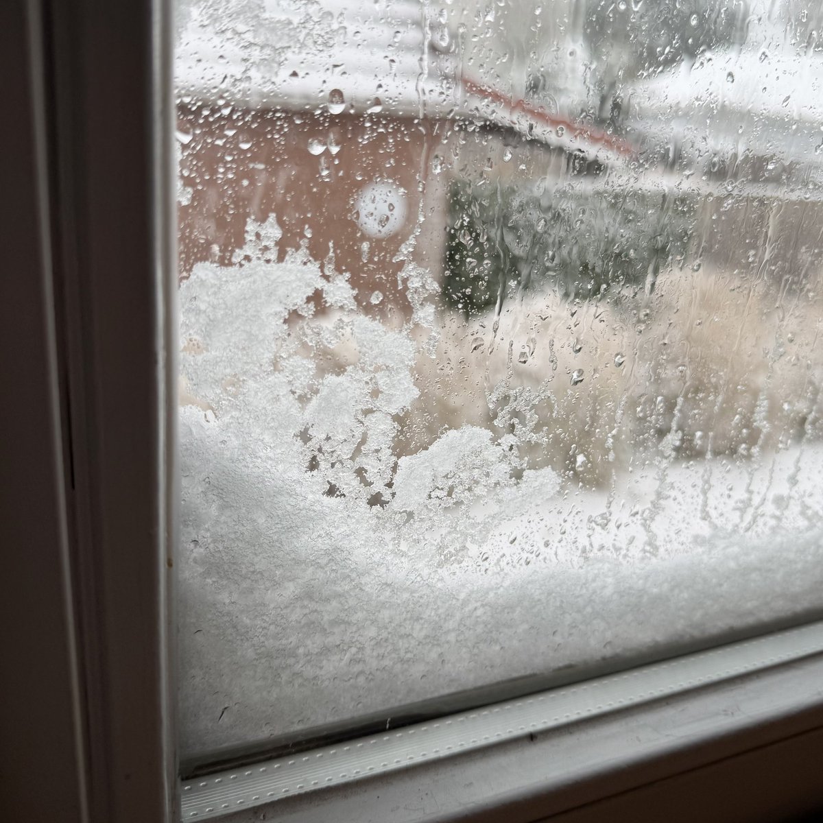 Edith van Montfort tweet media