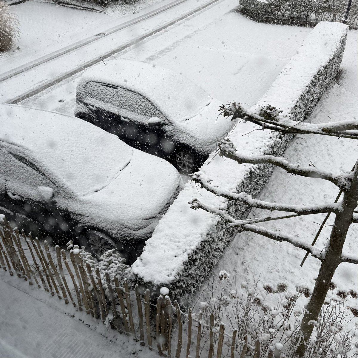 Edith van Montfort tweet media