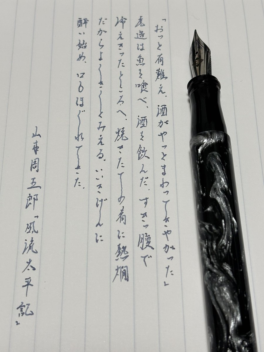 夜呑み書写 Franklin Christoph Model 50 Dark Room Emulsion 宵酔山影
