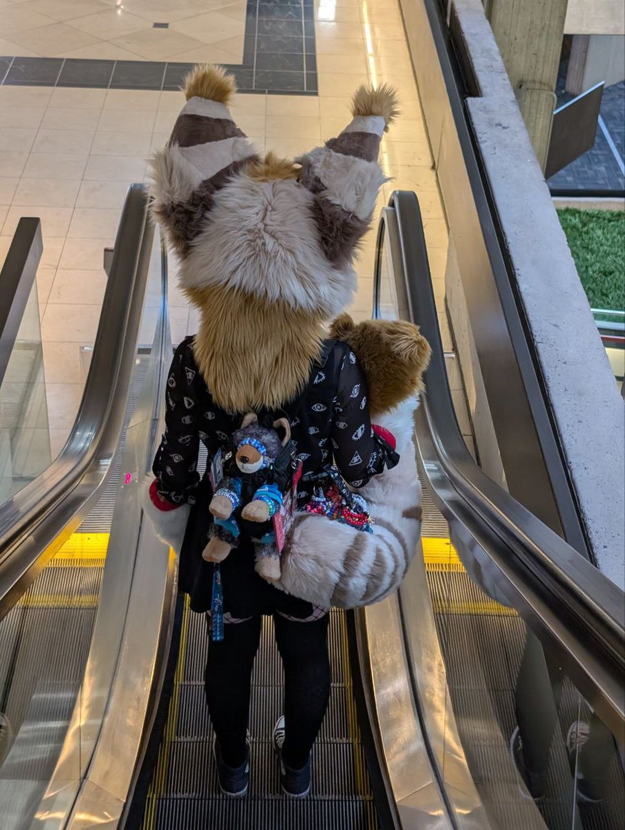 Blair 🐾 tweet media