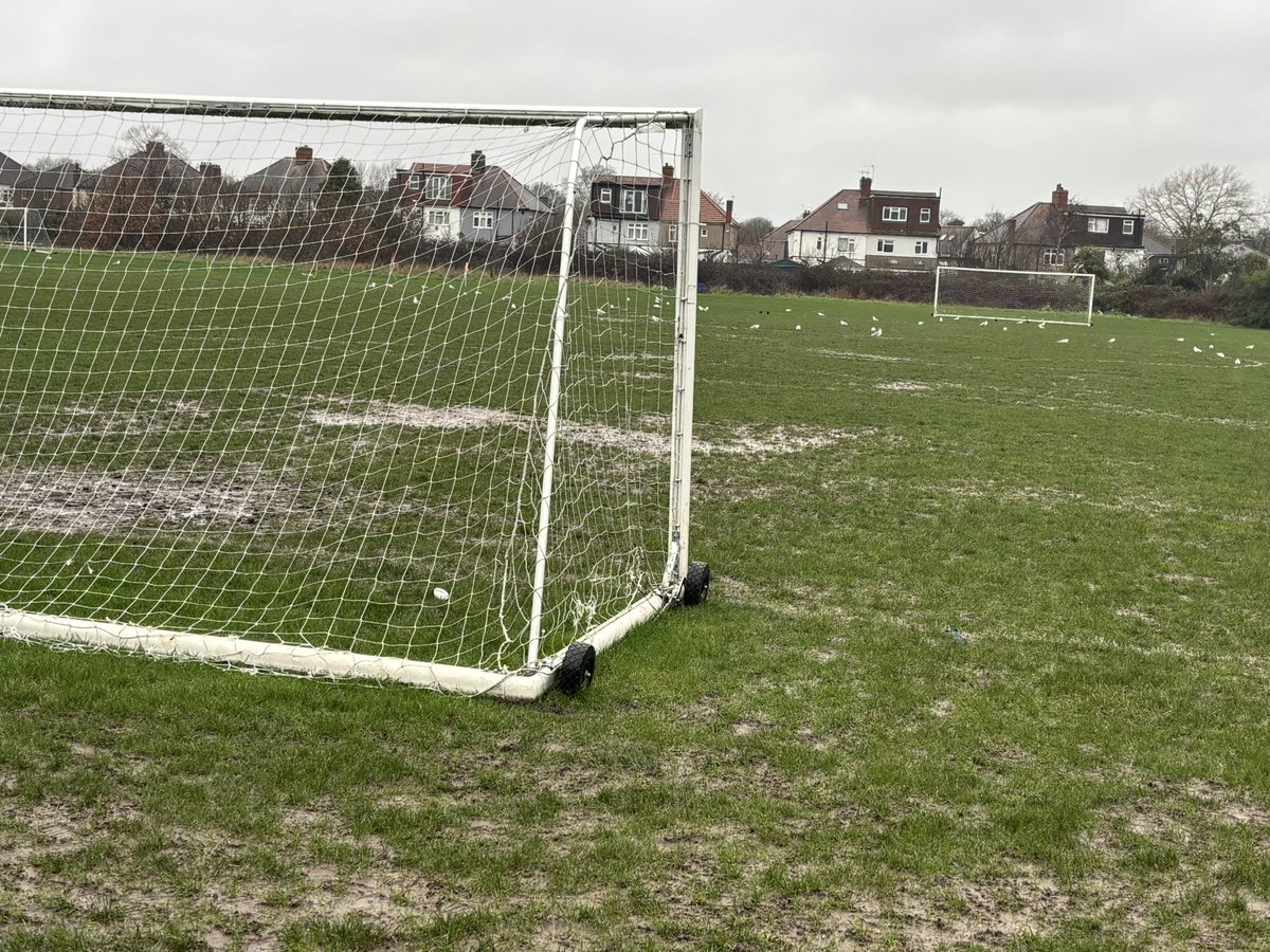 andyf70_💪 tweet media