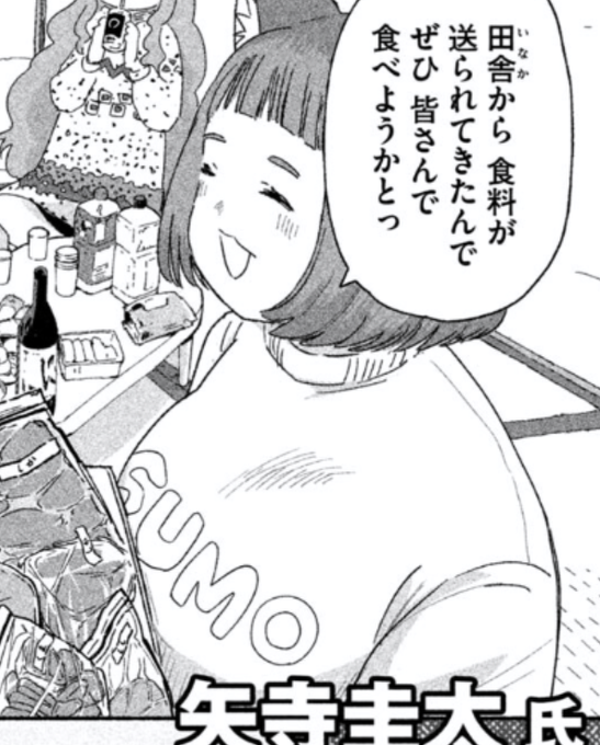 今週のヤングマガジン 矢寺圭太先生のデブねこの解像度が高くて良い