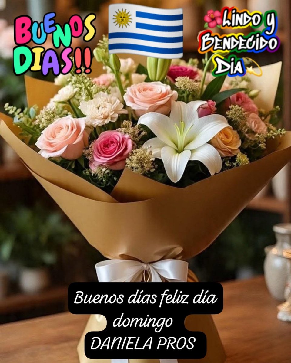 Buenos días feliz día domingo <a href="/Danidreams33/">Daniela Pros</a>