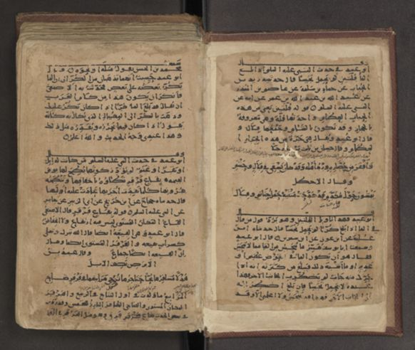 جبرتي تويتر tweet media