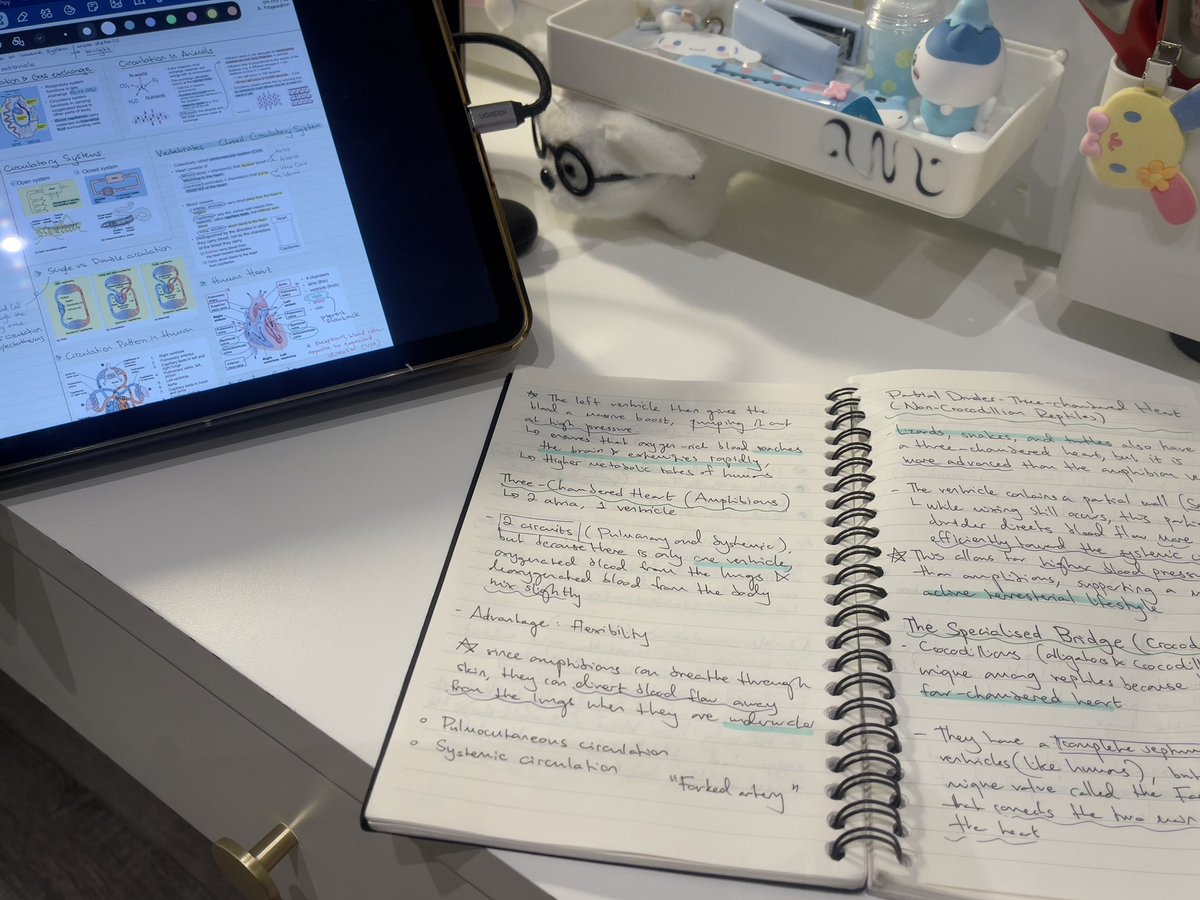 nam0jeongie's tweet photo. i blinked and next week is already midterms #studytwt https://t.co/f0ZU4aJ5vf