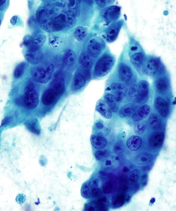 Charlie Herndon tweet media