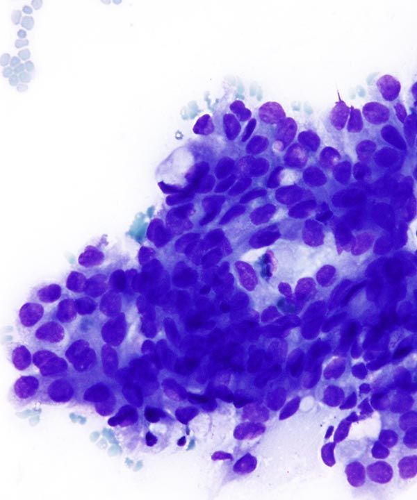 Charlie Herndon tweet media